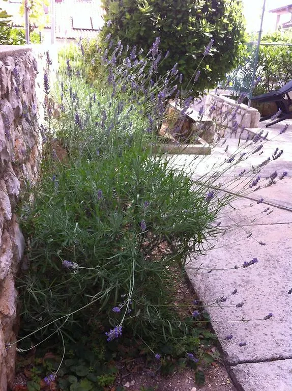 Apartments Katja Mali Lošinj